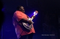 Christone Kingfish  (12)
